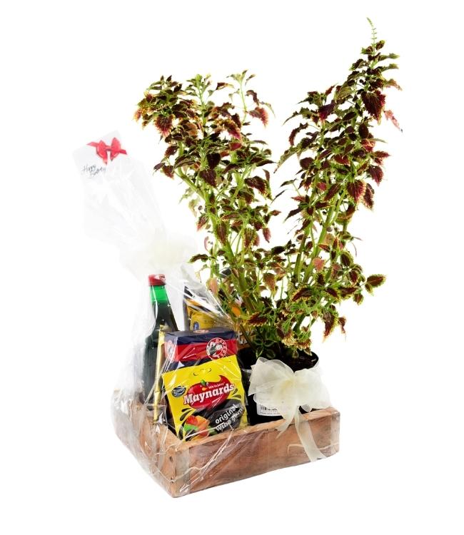 Hamper Combo 001