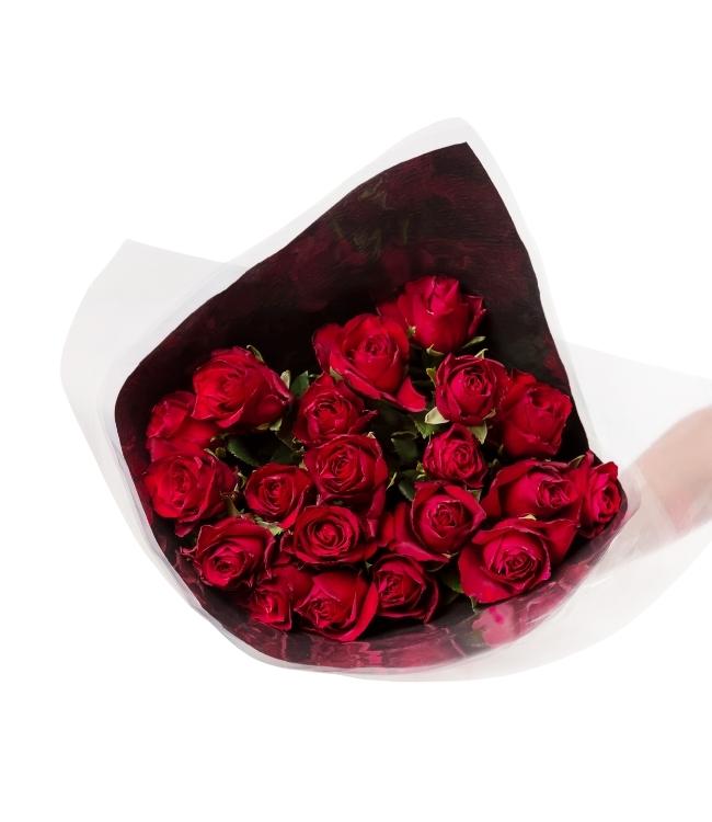 Rose 005