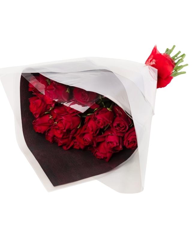 Rose 005 - Image 2