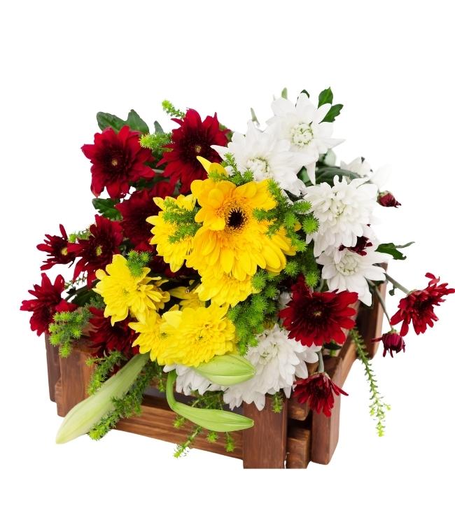 Sun-Drenched Garden Mix
