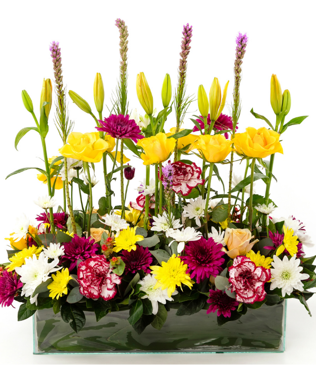 Floral Fusion